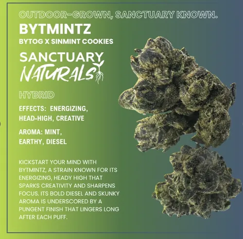 Bytmintz - 