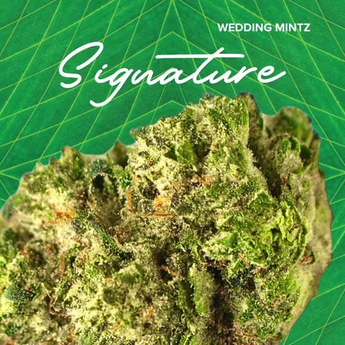 Wedding Mints -  cannabis product