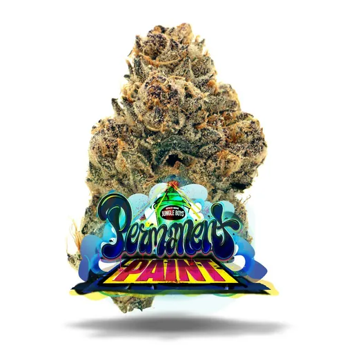 Permanent Paint- Premium by Jungle Boys - 3.500g Whole