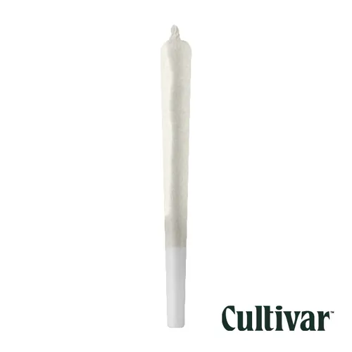 Gush Mints - Single PreRoll 1G