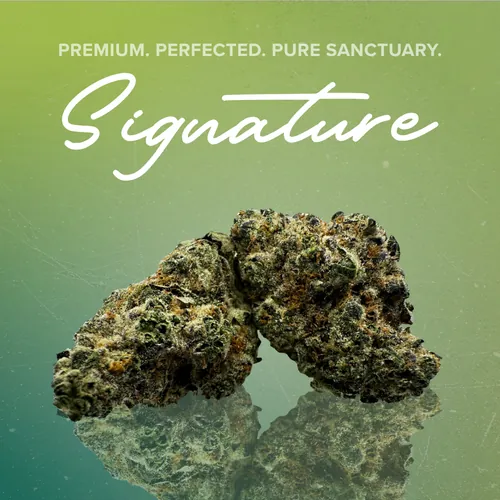 Gas Light Signature - 3.5g by Sanctuary Signature - 3.500g Whole