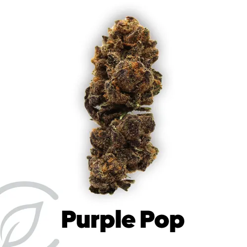 Purple Pop