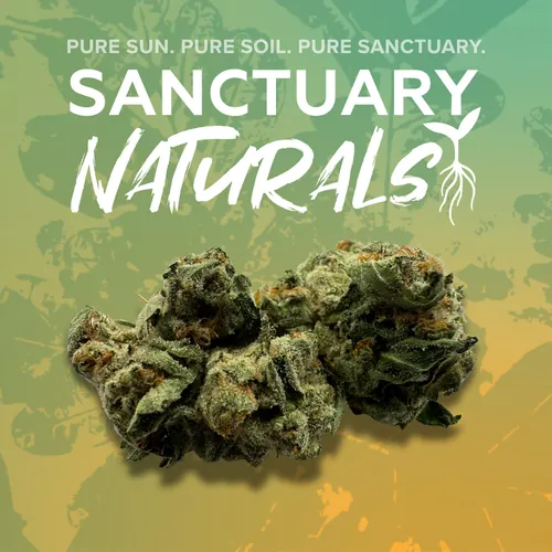 Lemon Ztraws Naturals - 3.5g by Sanctuary Naturals - 3.500g Whole