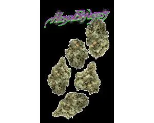 image of Headbanger 7g Juniors