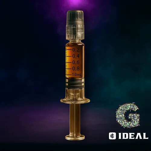 G8 - 
