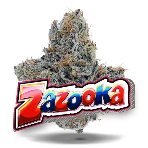 image of Zazooka - Premium Flower