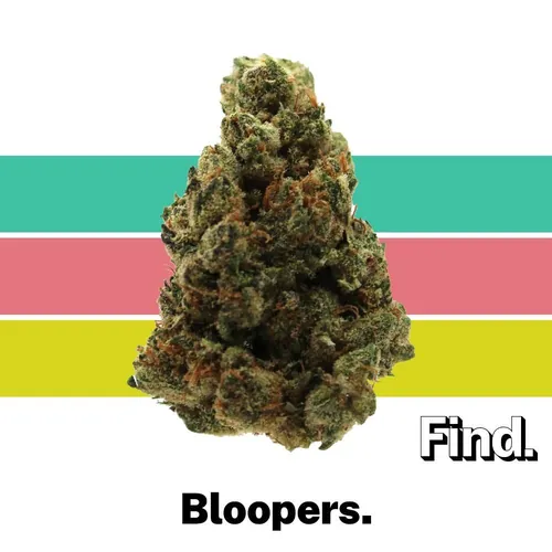 Bloopers - 