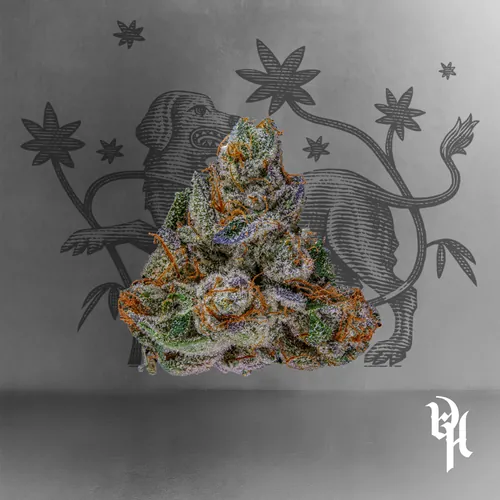 Starkiller Og - 