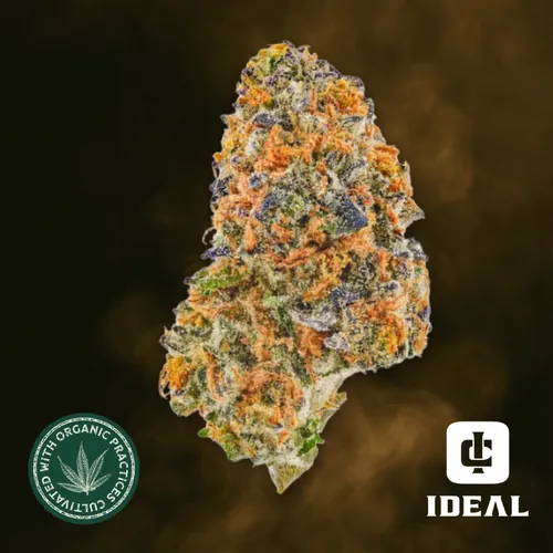 Cadillac Rainbows by Ideal Cannabis - 3.500g Whole