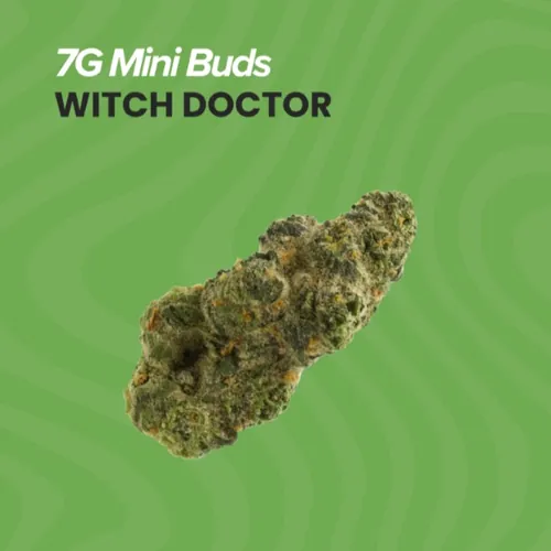 Mini Buds  Witch Doctor - 