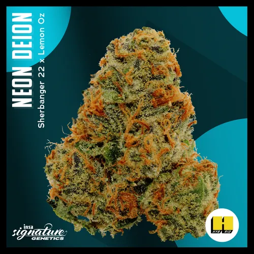 Large Pack Flower - Pave from  product image