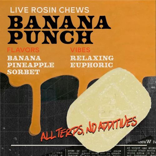 Banana Punch 100mg 10pk Live Rosin Chews - 