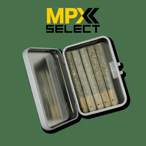MPX Birds of Paradise Pre Roll 5 Pack - 