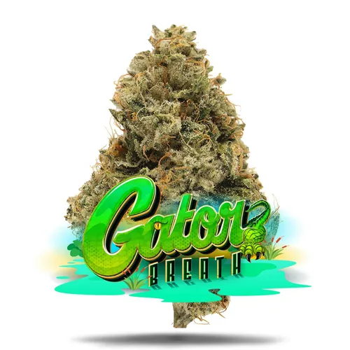 Gator Breath - Premium from  product image