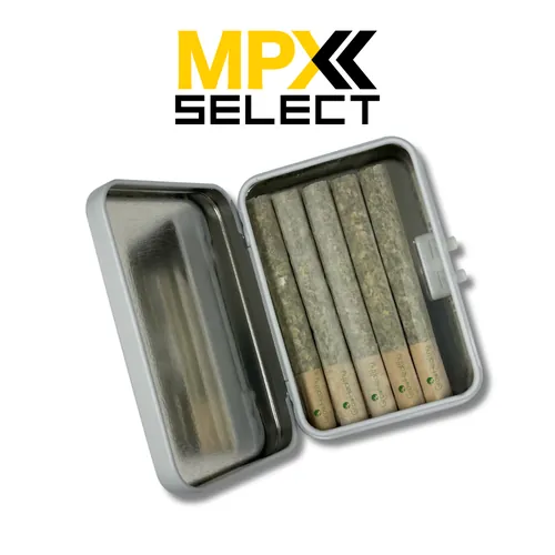 MPX Queso Grande Pre-Roll 5 Pack from  product image