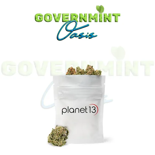 Leaf & Vine - Governmint Oasis 1/8Th - 