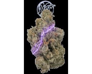 Gridlock Eighth - 