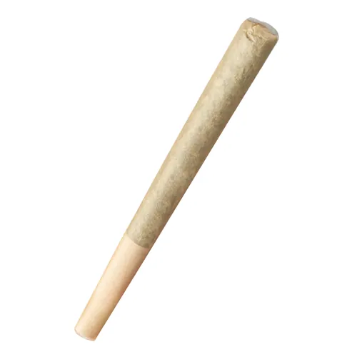 Alleged Orbit - Pre-Roll - 1g, 1ct from  product image