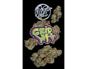 image of Gridlock 7g Juniors