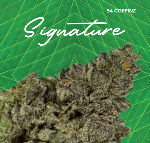 Signature  54 Coffinz - 