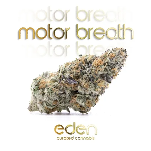 Motor Breath from  product image