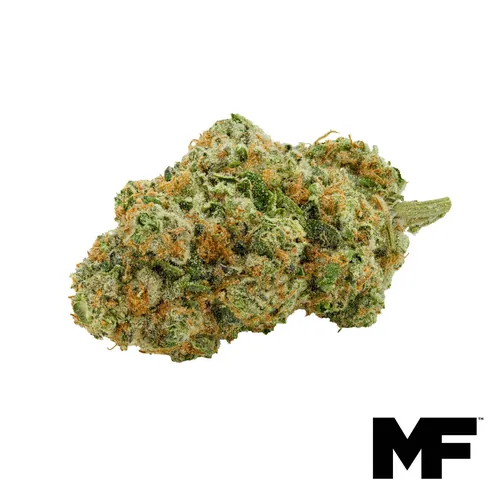 Zoot Suit Flower from  product image