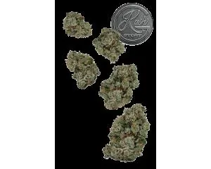 Josh D OG 7g Juniors by Josh D - 7.000g Whole