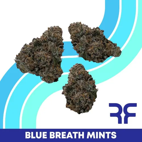 image of Blue Breath Mints