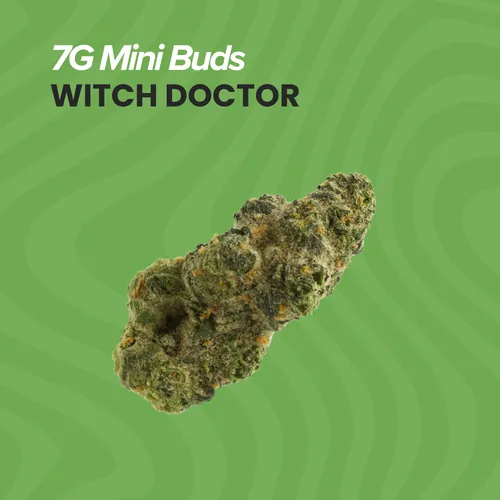Mini Buds Witch Doctor - 