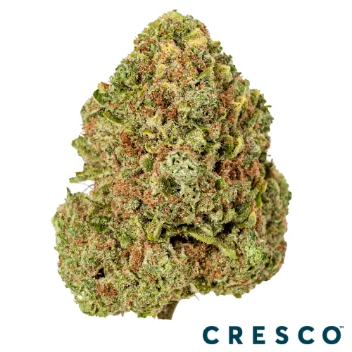 Cresco Premium Flower 3.5g - Canal Street RNTZ (I) from  product image