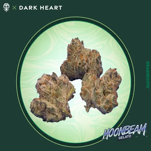 Moonbeam Gelato - 