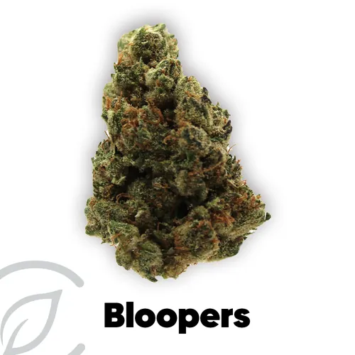 Bloopers - 
