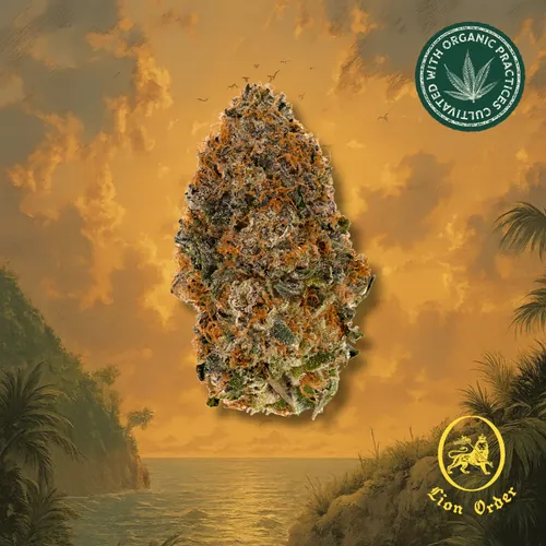 Rum Cake by Lion Order - 3.500g Whole