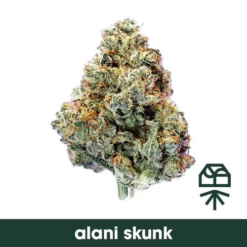 Alani Skunk - 
