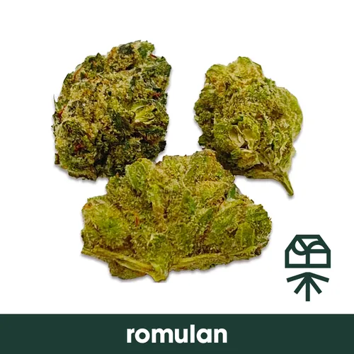 image of Romulan
