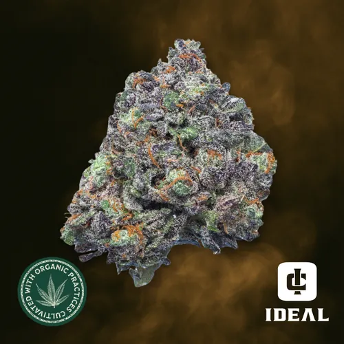Divine Banana from  product image