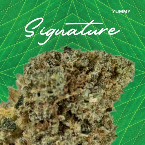 image of Signature Yum.