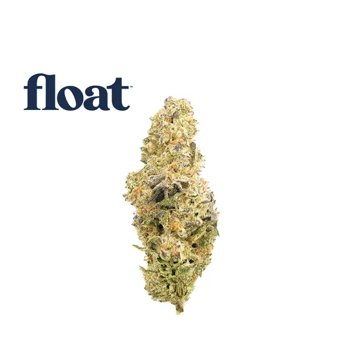  from  product image