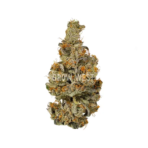 Lemondary Wildflower from  product image