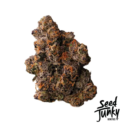 Red Eye Flower from  product image