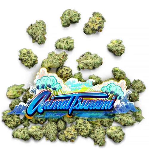 Animal Tsunami - Pops