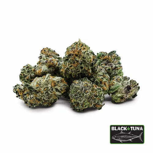 Black Tuna - Minis 3.5G by Black Tuna - 3.500g Smalls
