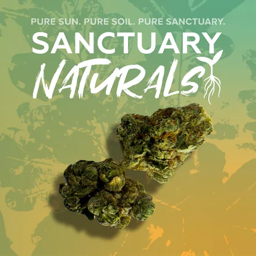 3.5g - Sanctuary Naturals - Jungle Grapes from  product image