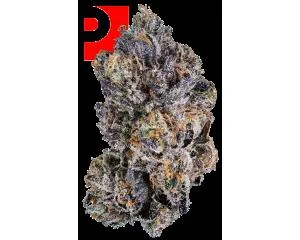 Znackz Eighth - 