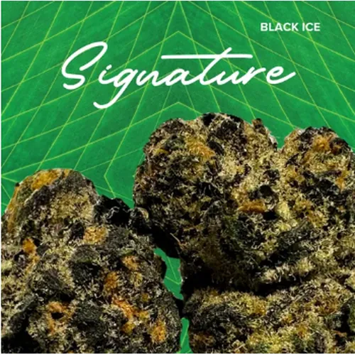 Signature Black Ice -  cannabis product