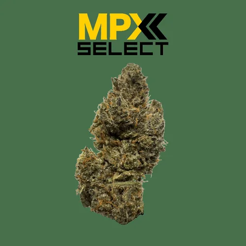 MPX Aurora Lights Flower - 