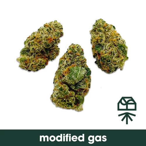 Modified Gas by Grassroots - 3.500g Smalls