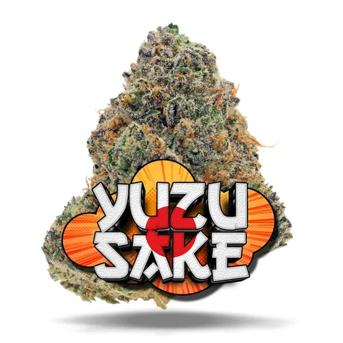 Yuzu Sake - Premium Flower by Jungle Boys - 3.500g Whole