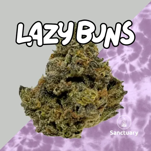 Lazy Buns - 