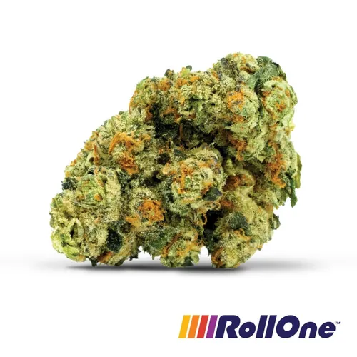 Black Diamond Flower from  product image